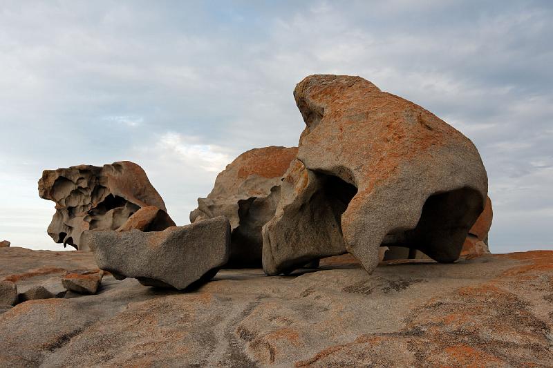 2007 05 06 Kangaroo Island 099_DXO.jpg